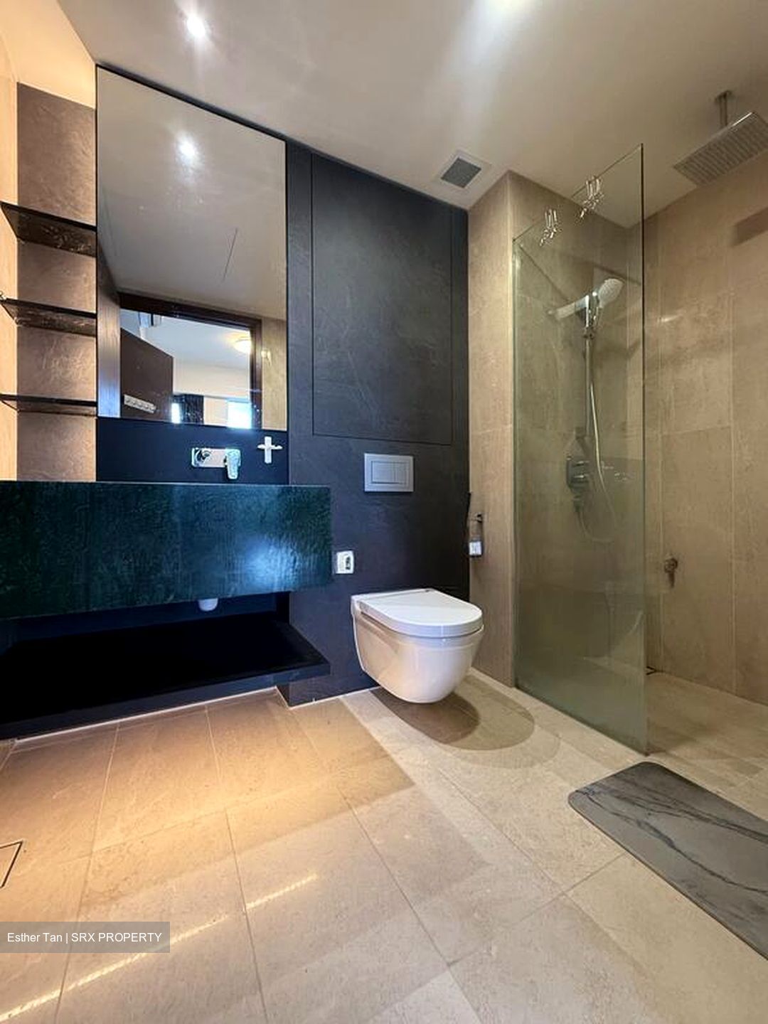 Dunearn 386 (D11), Apartment #509961531